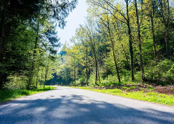 O'bois-centre Alsace Riad